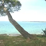 Mirta *