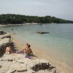 Mirta *