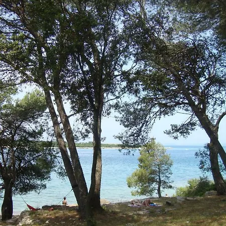 Mirta * Pula